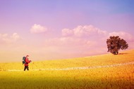 Image for event: The Way, My Way