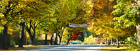 Copyright Ron Laughlin. Autumn in New Zealand Copyright Ron Laughlin. Autumn in New Zealand
