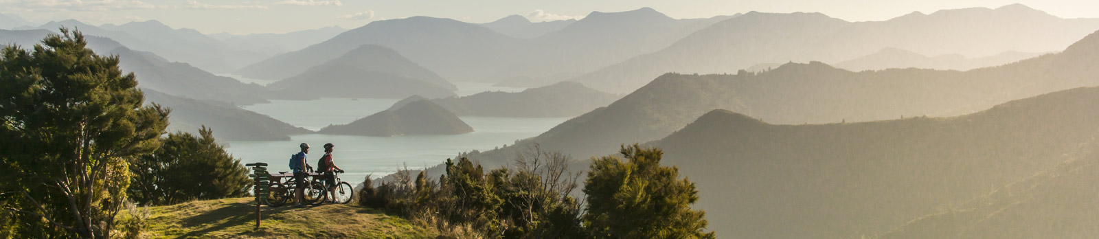 Biking the Queen Charlotte Track in New Zealand