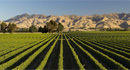 Blenheim, New Zealand