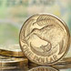 About New Zealand Currency