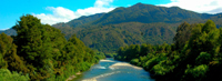 Copyright Ron Laughlin. Lewis Pass, New Zealand Copyright Ron Laughlin. Lewis Pass, New Zealand