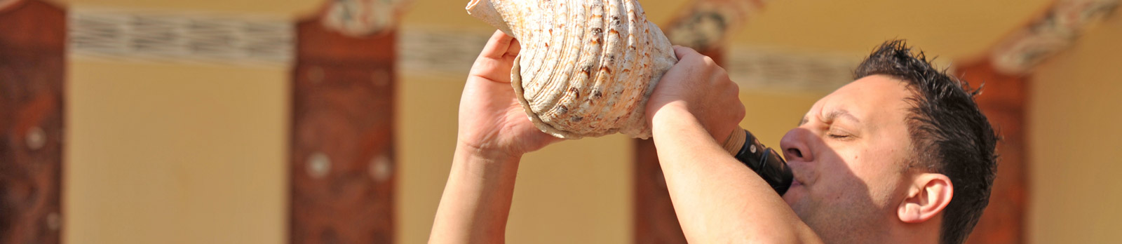 A traditional Maori instrument