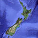 Driving in New Zealand