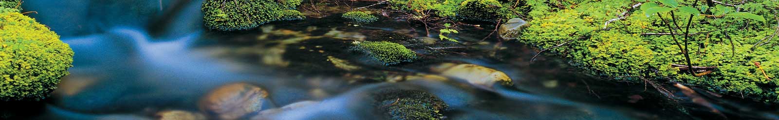Routeburn Track