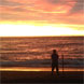 Public Holidays and School Holidays