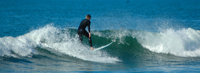 Copyright Ron Laughlin. Surfing on the West Coast, New Zealand Copyright Ron Laughlin. Surfing on the West Coast, New Zealand