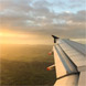 Traveller Newsletters