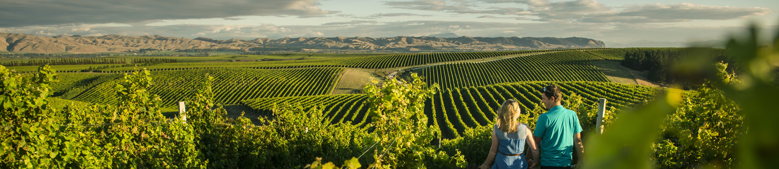 Walking through vineyards in Marlborough, New Zealand