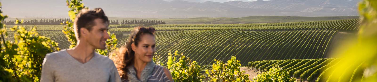 Winery tour in New Zealand